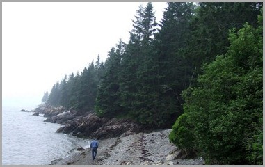 DSCF0015