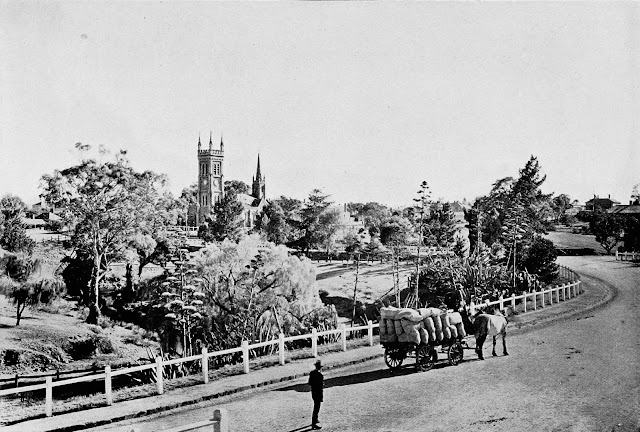 Country Road at Strathalbyn, South Australia c. 1908