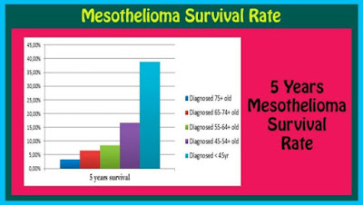 Pleural Mesothelioma Survival Rate