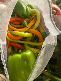 Peppers