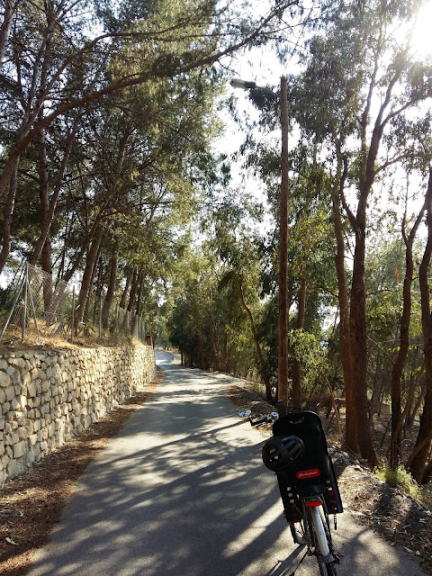 Ruta del Vino de Alicante en Bici