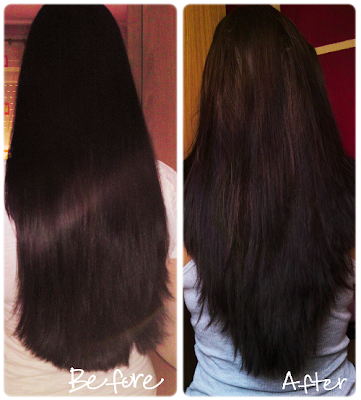 The Long Hair Community Discussion Boards