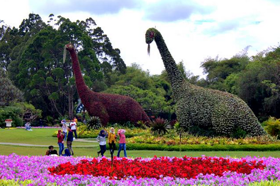 [http://FindWisata.blogspot.com] Taman Bunga Nusantara, Cianjur