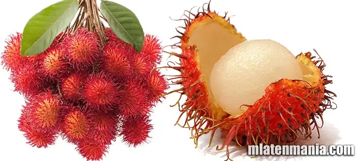 Mengenal Lebih Dekat Buah Rambutan