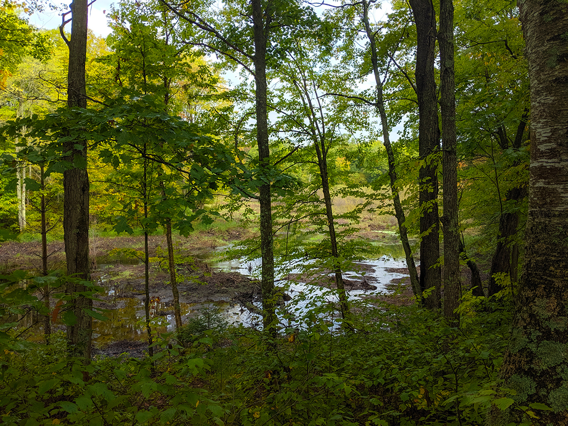 Firth Lake Segment of the Ice Age Trail