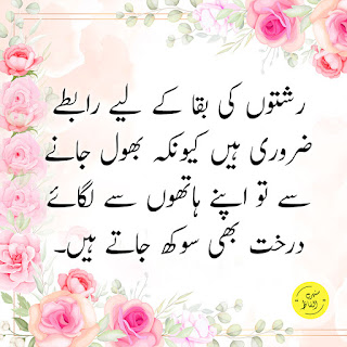 Deep & Wise Quotes in Urdu