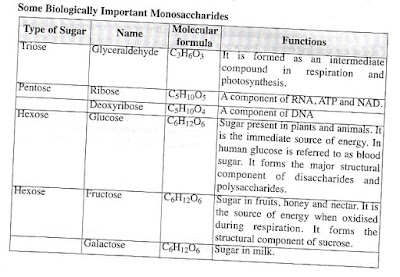 Biologically important