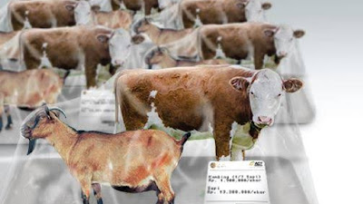 Pemuda pemerkosa sapi dan kambing juga memperkosa kakak kandung