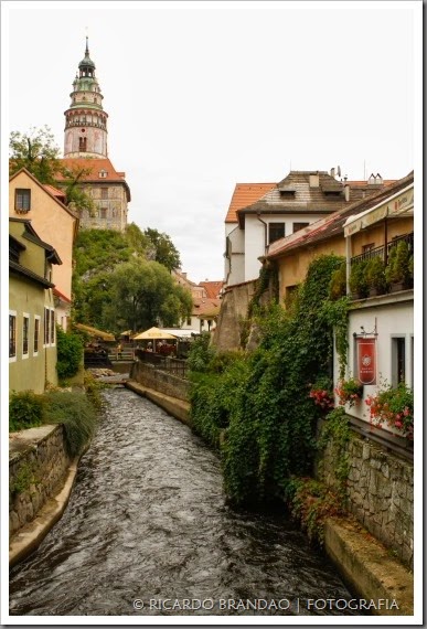 cesky6
