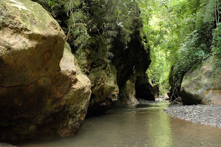 Rio Viejo Costa Rica