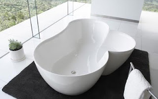 Unique Bathtub Blending Beauty and Function