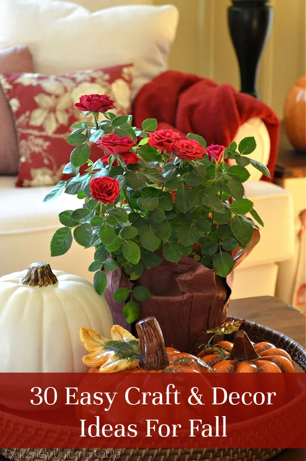 30 Fall DIY Craft and Decorating Ideas