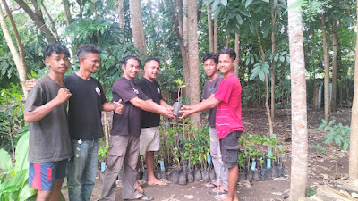 Aksi Penghijauan! Komunitas Desa Kabuna Serahkan Anakan Pohon bagi PERMABI Kefamenanu