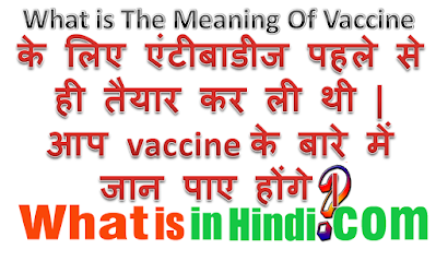 What is the meaning of Vaccine in Hindi