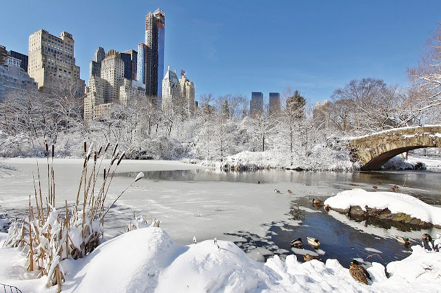 New York City winter weather