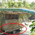 Terkikisnya Pondasi Jembatan Brantas Kota Batu Dinilai Rawan Ambrol