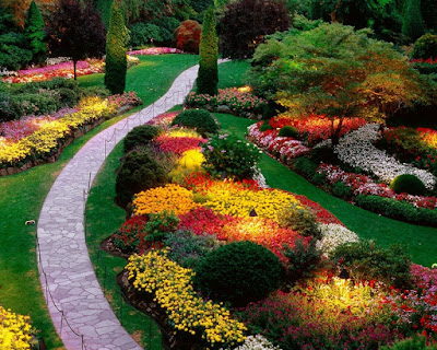 Amazing Landscape Outdoor Designs