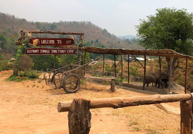 Elephant Jungle Sanctuary - Chiang Mai