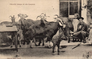 pays basque autrefois 1900