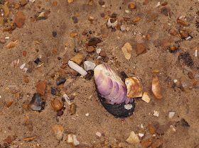 Brancaster beach in February