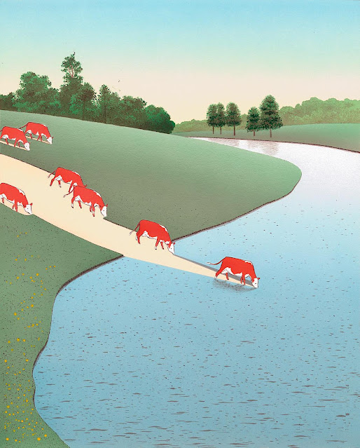 Guy Billout art, cows crossing a river