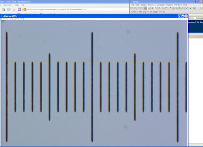 Skeptic Wonder Quick Imagej Tutorial Scalebar Calibration