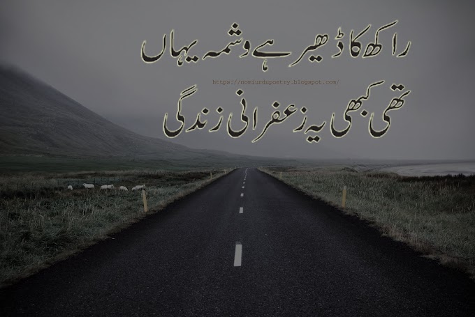 Best Life Heart Touching 💕 Poetry || Nomi Urdu Poetry💕