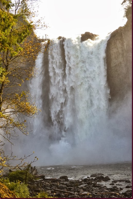 DSC_9623_edited (683x1024)