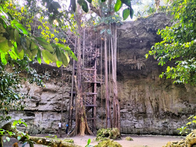 scala cenote sac-aua valladolid