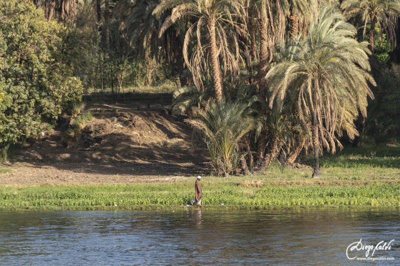 Viaje a Egipto de 8 días con crucero por el Nilo. - Blogs de Egipto - Recorrido por el Alto Egipto (15)