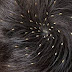 Home Remedies To Remove Lice From Hair Easily At Home Remedies