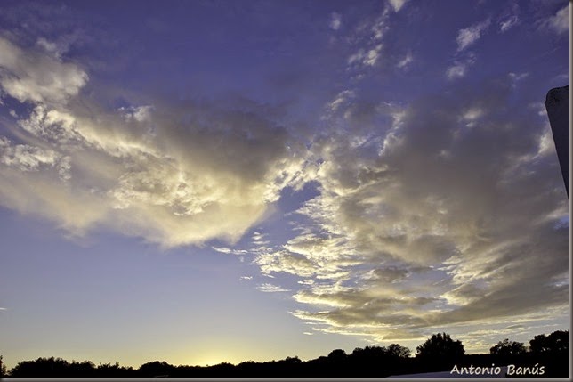 _DSC9933X1