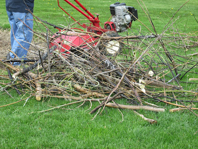 brush that still needs burning