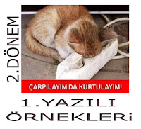  5.SINIF 1.DÖNEM 1.YAZILI