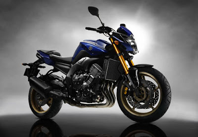 Yamaha, FZ8, motorcycle, engine, model
