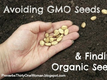 Avoiding GMO Seeds & Finding Organic Seeds