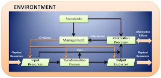 MANAGEMENT INFORMATION SYSTEMS 