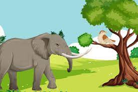 The animal story of sparrows and the Elephant