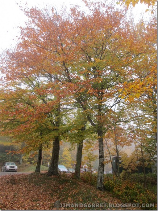 2012-10-06 011