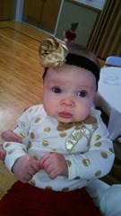 WP_20121220_008