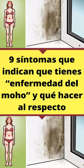 9 Indicadores de que tu Casa Tiene Moho: ¡Descubre cómo Detectarlo y Resolverlo!