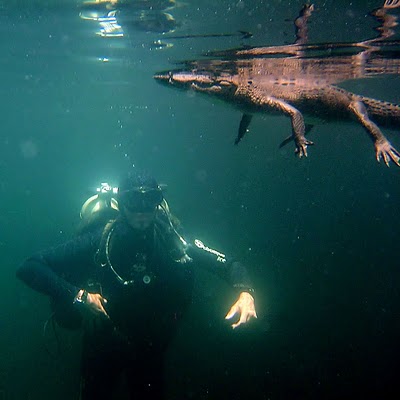 Fenomena Sungai di Bawah Laut Cenote Angelita (Penjelasan)