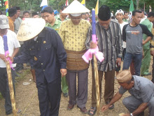 bupati tanam kedele