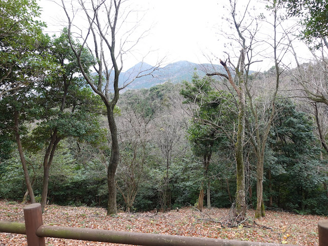 むきばんだ史跡公園　弥生の森遊歩道