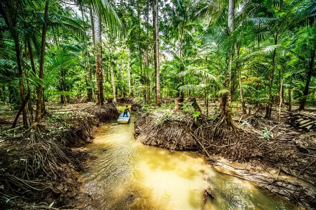 Atuação-da-Natura-na-Amazônia-Preservando-a-floresta-e-gerando-renda