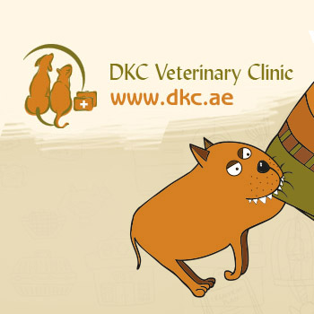 DKC Veterinary Clinic & Dubai Kennels & Cattery 