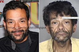 Mighty Ducks-actor Shaun Weiss was arrested after's "erratic behavior " while he was high on drugs: police