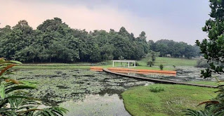 Kebun Raya Cibinong: Harga Tiket Dan Lokasi