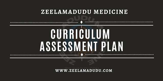 DOWNLOAD CURRICULUM AND ASSESSMENT PLAN
