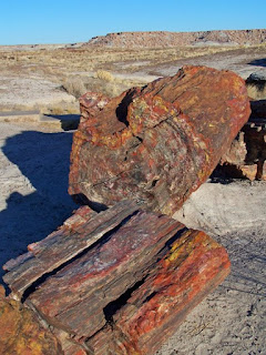 Secular geologists give faulty stories for the formation of the petrified forest and painted desert. The true explanation is in a creation science Genesis Flood model.